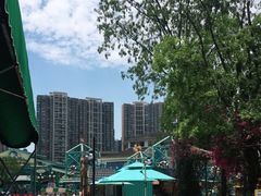 -海合安成都极地海洋公园