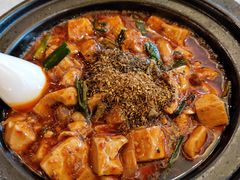 -陈麻婆豆腐总店