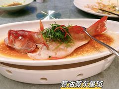 -博多新记·粤菜(复兴店)