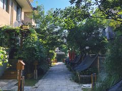 -田园东方蜜桃村的田野营地