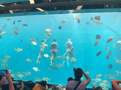 -瑞德姆美人鱼海底演艺主题餐厅(亚龙湾店)