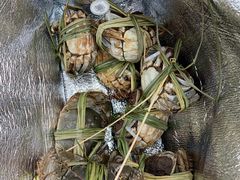 -蟹状元大闸蟹·年货·粽子(成都成华店)