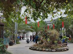 -北京植物园-展览温室