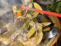 -楠波炭炉鸡煲馆(桥北店)