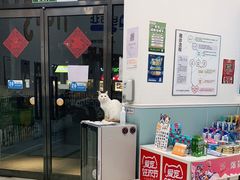 -纳吉亚猫专科动物医院·北北分院