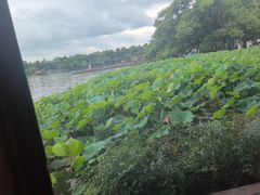 -湖畔居茶楼(湖滨店)