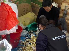 -普宁反沙番薯芋头