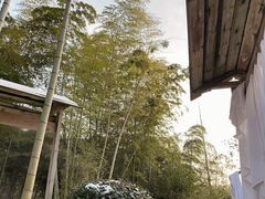 -江南天池高山汤泉城