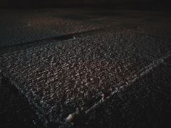 -三里屯东五街银杏大道