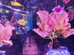 -南昌融创海世界