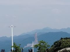 -中原大佛景区
