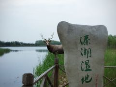 -溱湖国家湿地公园