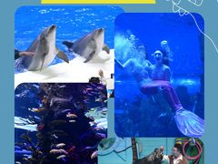 -石家庄极地海洋世界