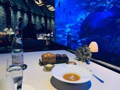 -迪拜帆船酒店海底餐厅