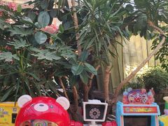 -老山东·山东菜(鲁菜名店)