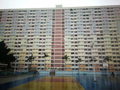 -彩虹村