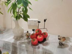 -小厨娘淮扬菜(六合欢乐港店)