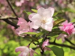 -昆山城市生态森林公园