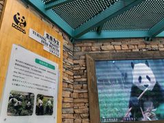 -熊猫厨房