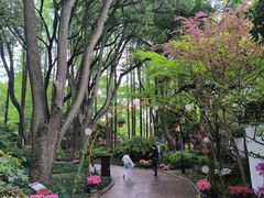 -上海醉白池公园