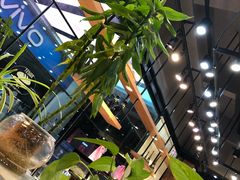 -维利康(优尚天地店)