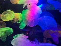 -太平洋海底世界