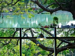 -溪岸路花鸟市场