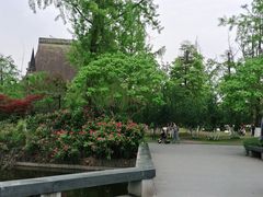 -南湖梦幻岛