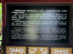 -柳侯公园