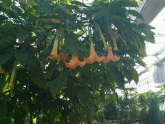 -天源吉布世温泉水乐园