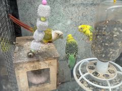 -ITA·意塔意大利餐厅(亦庄店)