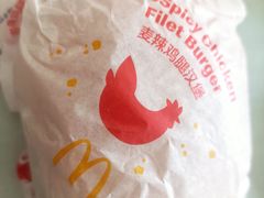 -麦当劳(红旗路店)