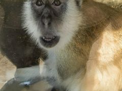 -新疆天山野生动物园