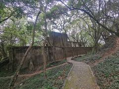 -上海佘山国家森林公园天马山园