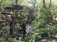 -德庆盘龙峡生态旅游区