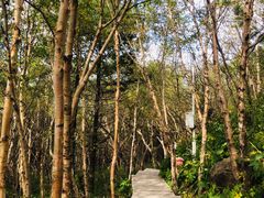 -白草畔自然风景区