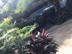 -郑州银基黄帝宫御温泉