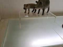 -旅顺博物馆