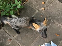 -九鼎铁刹山风景区