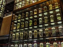 -广东中医药博物馆