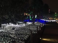 -秀丽东方
