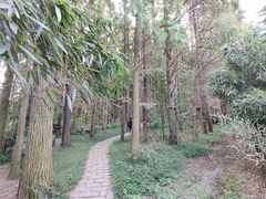 -同里国家湿地公园