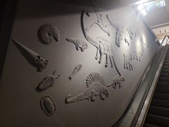 -甘肃地质博物馆