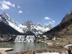 -金鼎雪山牦牛杂火锅(理县总店)