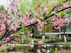 -杭州电子科技大学(下沙校区)