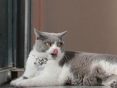 -Green wood coffee绿木咖啡