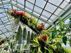 -国家植物园南园