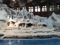 -帝企鹅自助餐厅•儿童岛•真企鹅(长隆企鹅酒店)