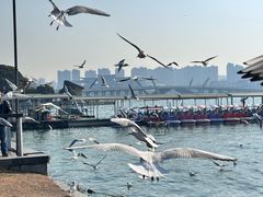 -无锡蠡湖国家湿地公园-蠡园