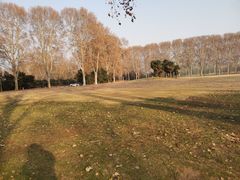 -河南省黄河迎宾馆